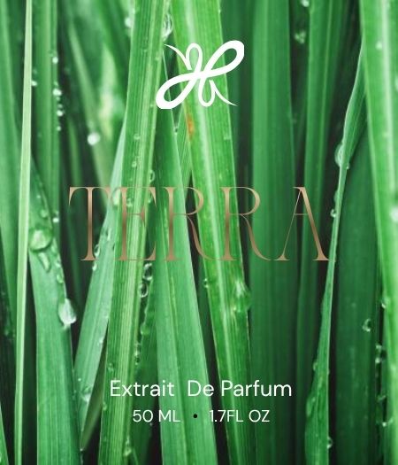 Terra – Green Vetiver Extrait de Parfum